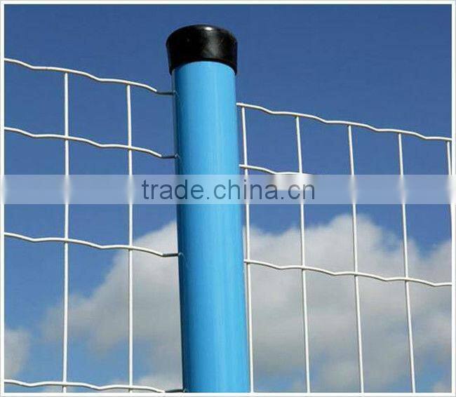 Perfect Quality Crimped Wire Mesh Fence/Dutch Wave Wire Netting(factory quality)