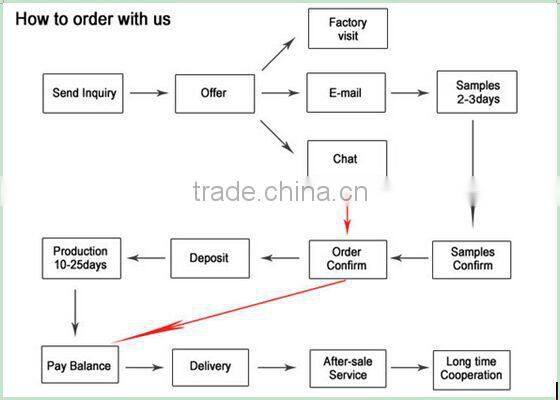 Classical Flash singing christmas hat