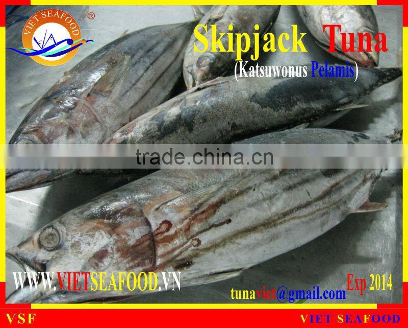 W/R FROZEN SKIPJACK TUNA