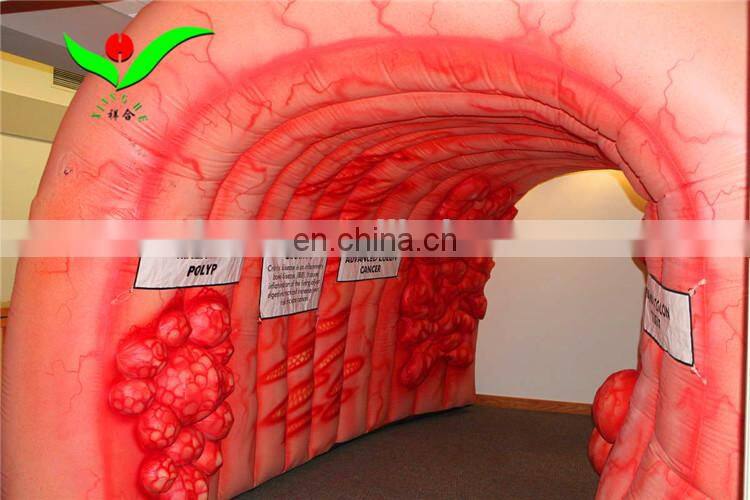 Indoor Super Colon inflatable tunnel rental