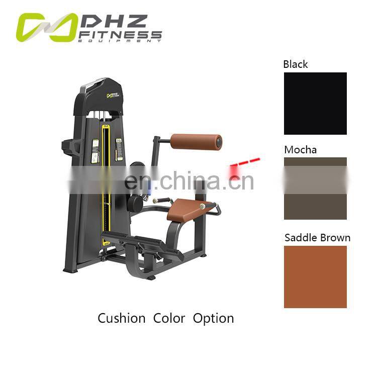 Most Popular Gym Muscles Worked Machine Back Extension Exercise