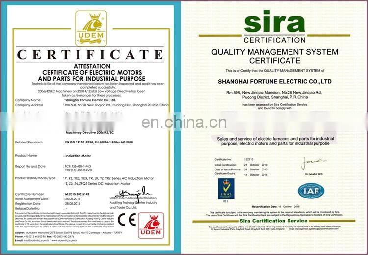 S3 Duty Tower Crane three phase electric motor