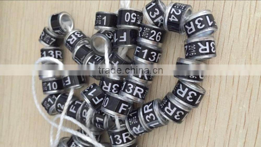 Address Ring for Pigeon