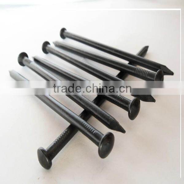 Construction Common Nials with low price