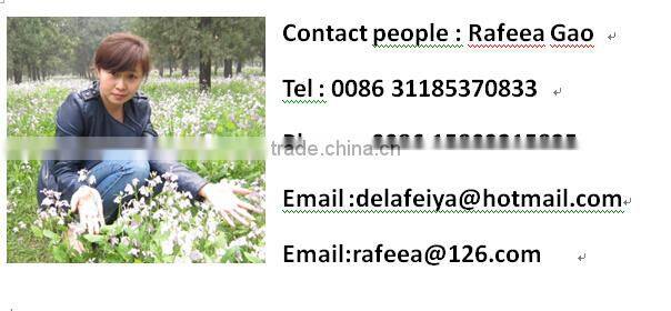 hot sale stainless steel industrial meat grinder in 2015