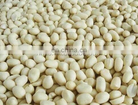wet type peanut red skin peeling machine