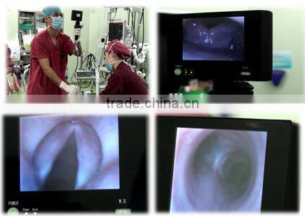 Little animal gastroscope bronchoscope3.8mm portable flexible reusable video veterinary endoscope