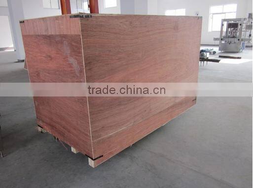Most popular double sides self-adhesive labeling machine TBK-150X
