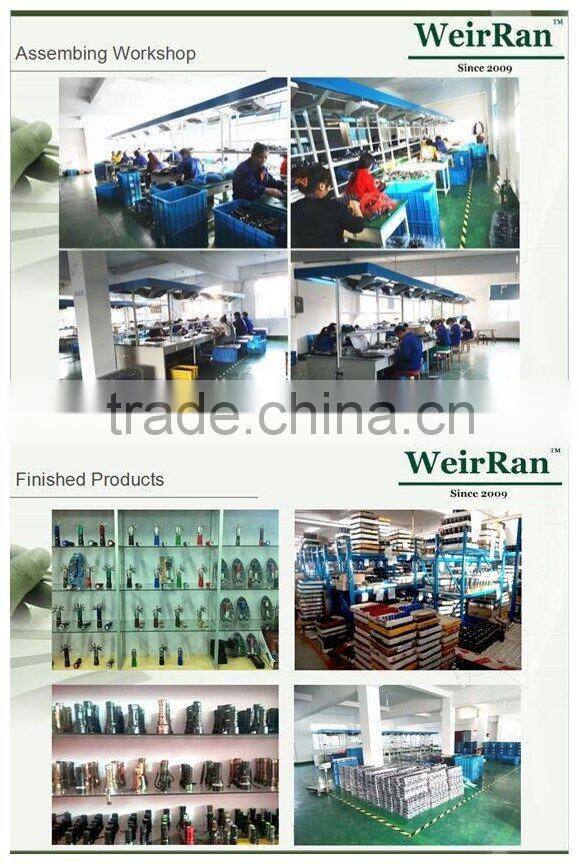 (120428) Hot Selling Super Bright 30led hanging camping tent lighting