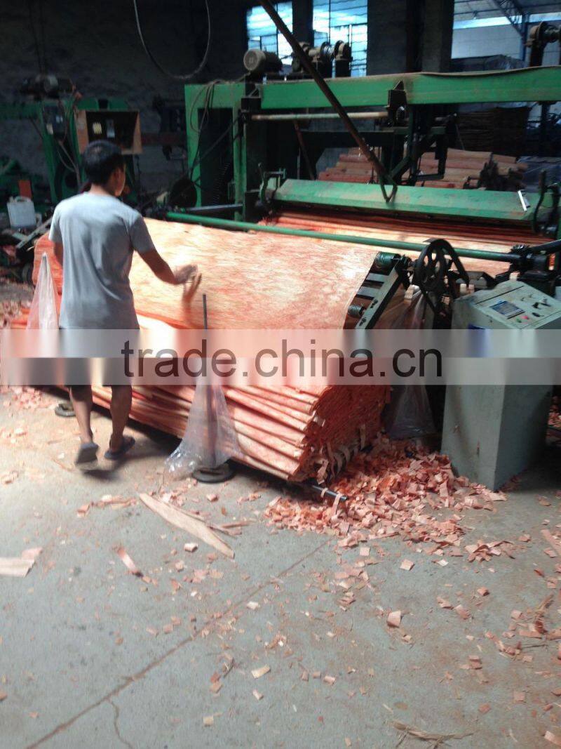Pencil cedar wood natural veneer for cedar plywood 0.30mm with best price