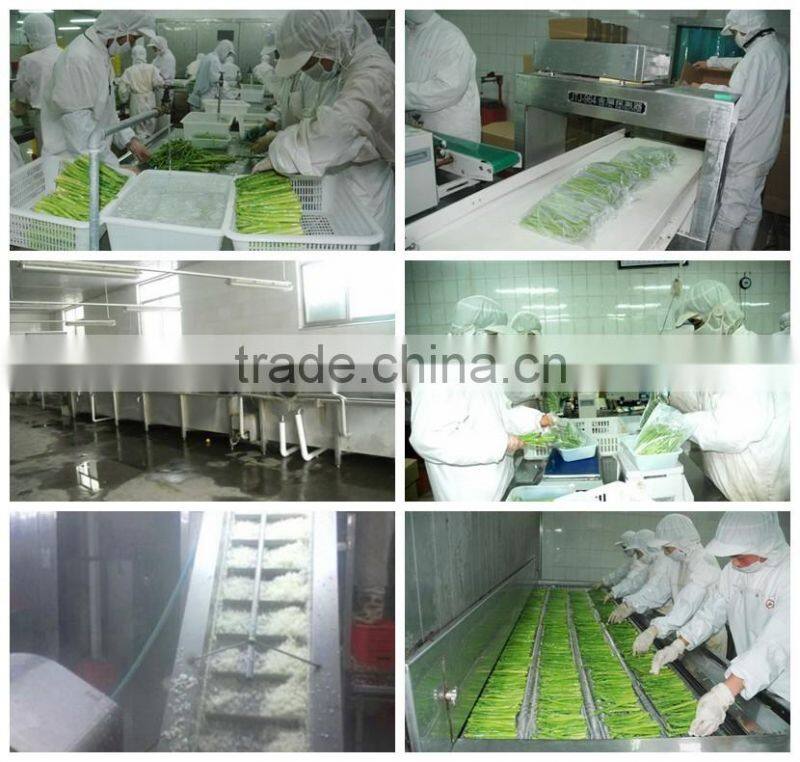 wholesale frozen champignon mushroom