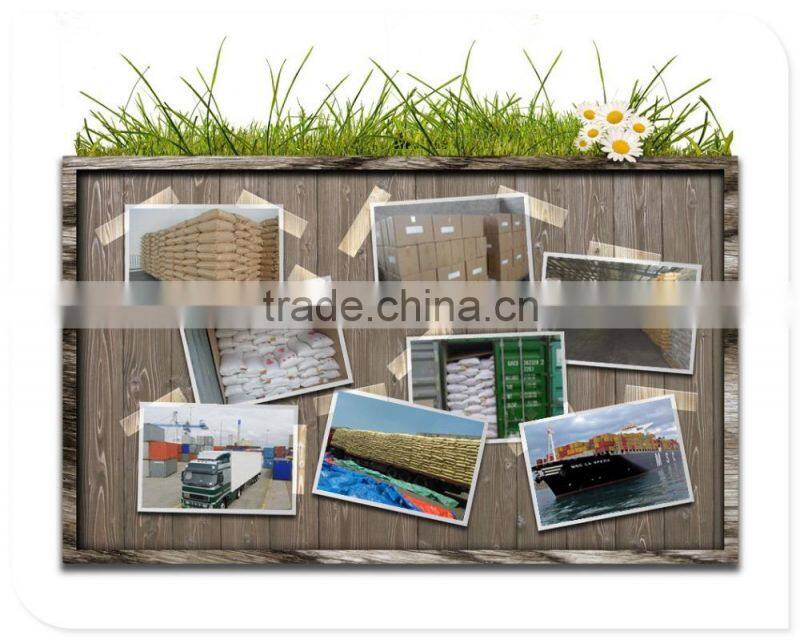 where can you buy goji berries-best selling products in europe