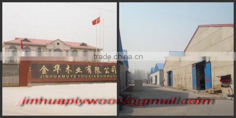 PVC overlay plywood in 1220*2440mm