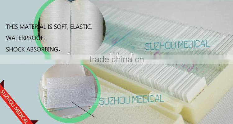 50pieces set primary school study zoology and botany mixed biology slides