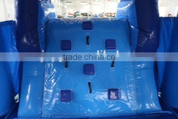 Hot Commercial Grade Cheap Dolphin Water Slide ,28ft Castle Slide