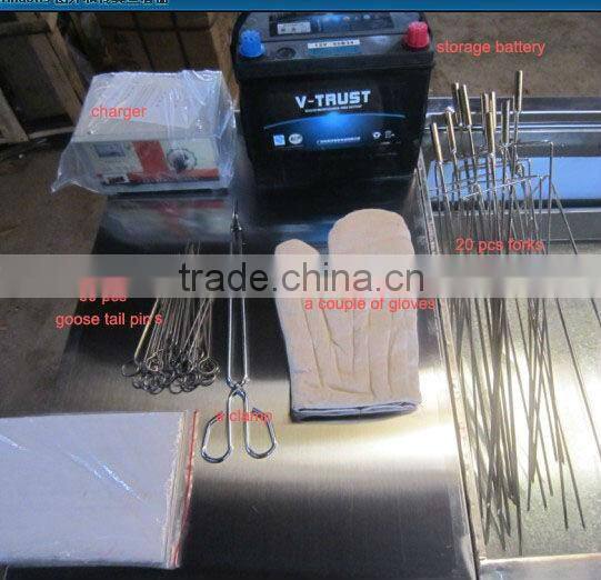 Top popular model DL-KGL car rotisserie for sale