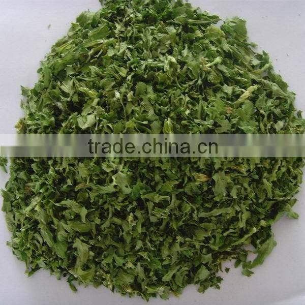 2016 New Crop Dehydrated Parsley Leaf