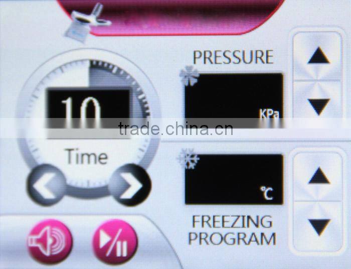 TSL-1101C lingmei popular criolipolise freezing fat equipment for body slimming