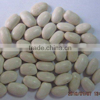 Good white Kidney beans/medium 2010