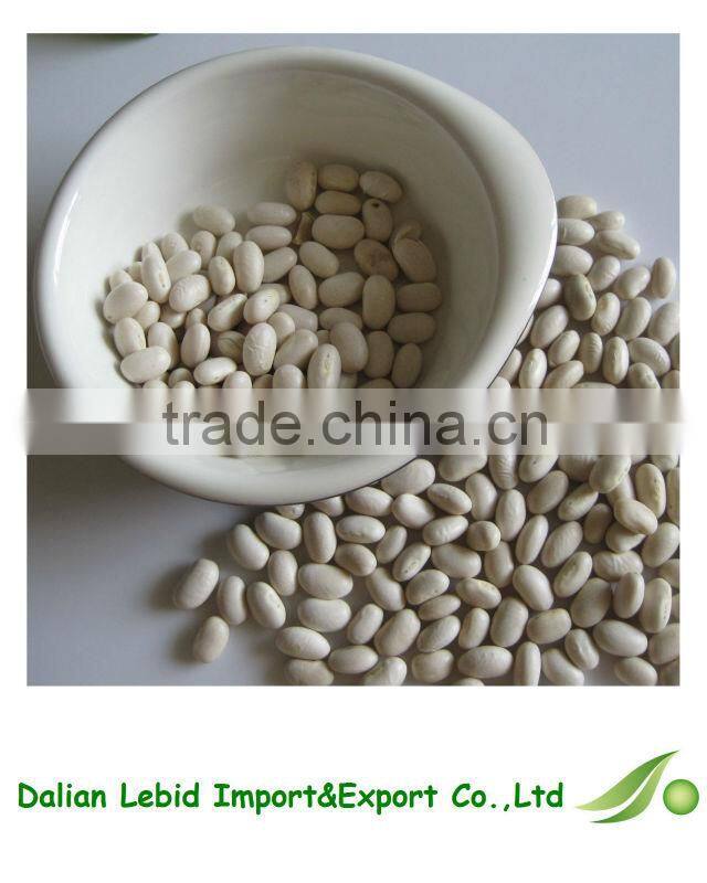 Export Broad White Kidney Dry Beans For Sale 2016 Crop