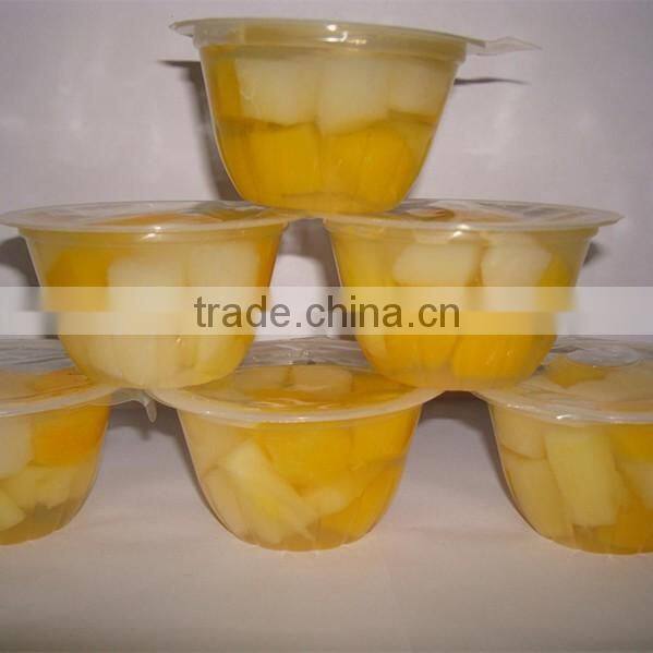 Mixed Fruit Salad in Light Syrup