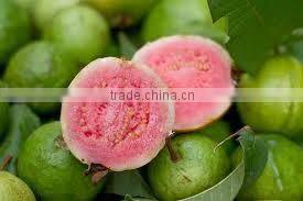 Natural Pink Guava Pulp supplier