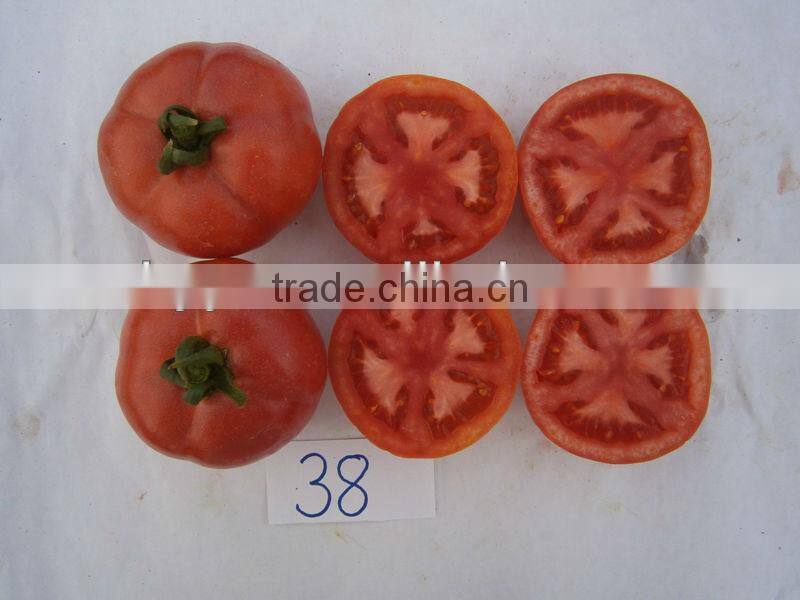 ZhongYan 998 Pink Large Fruit Tomato Seeds