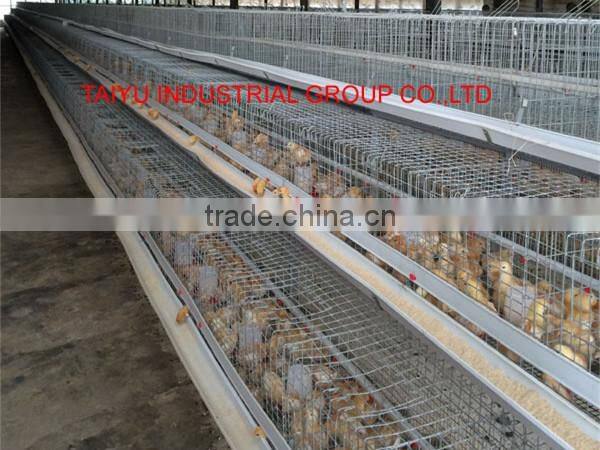 Taiyu design day old chicks cage for sale
