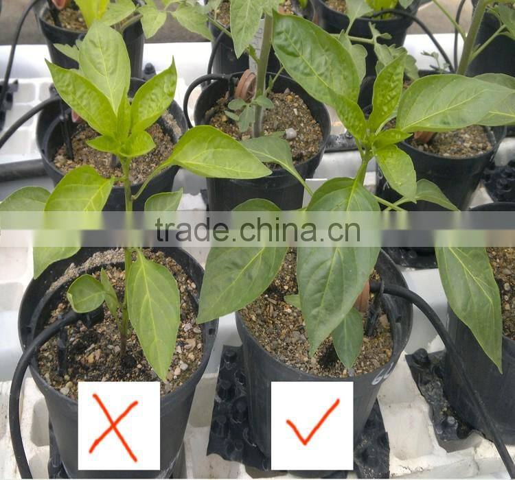 Agrolink Increased Yield Organic Fertilizer For Corn 70% Amino Acid In Powder Form
