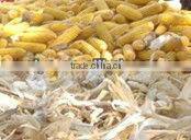 SKY-1 combined corn thresher /corn threshing machine