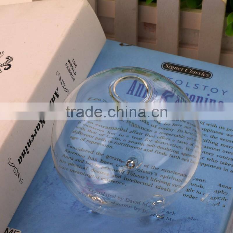 Ball shaped hydroponics container round transparent glass vase for plant