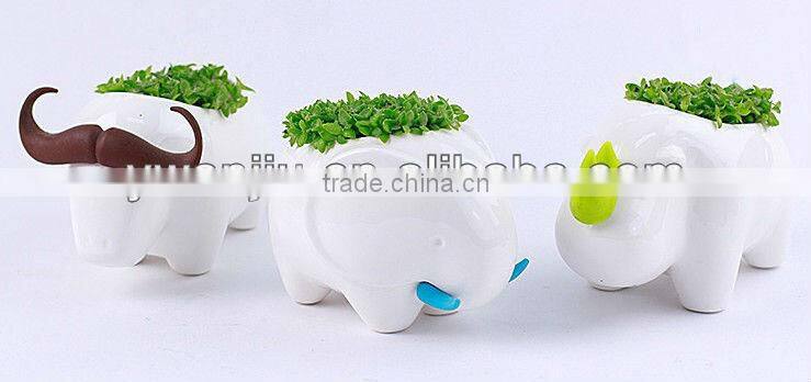 Supply fashion Creative animal plant - elephant