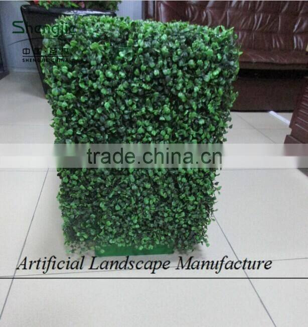 Indoor artificial plastic boxwood hedge for decoration