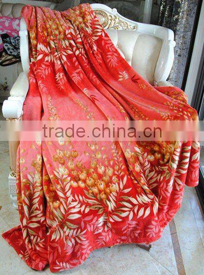 Soft Exquisite 100% Polyester Mink Velvet Mink Blanket