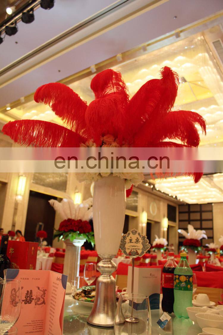 Wholesale South Africa ostrich feathers for decoration wedding ostrich feathers