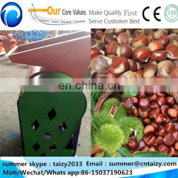 Thorn stab removal chestnut huller