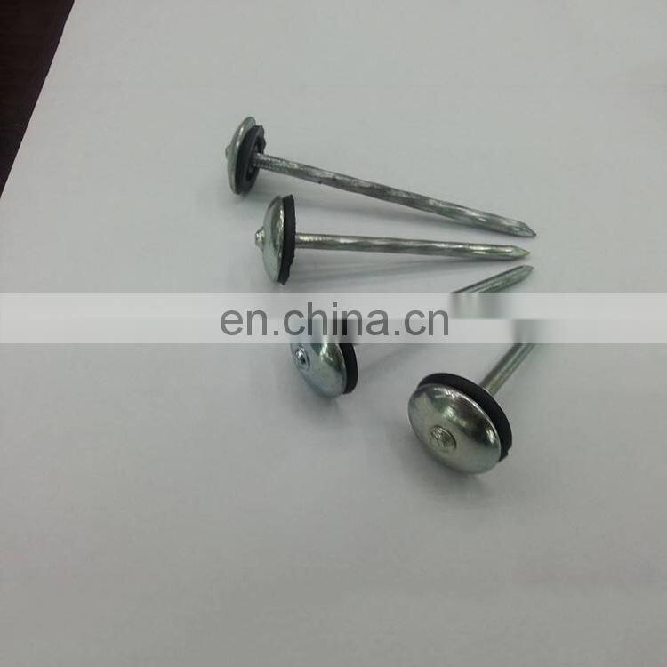 Cheap umbrella head 14-20mm roofing nails galvanized