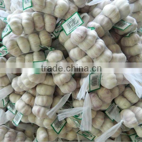 wholesale new crop Jinxiang garlic OEM garlic factory garlic export