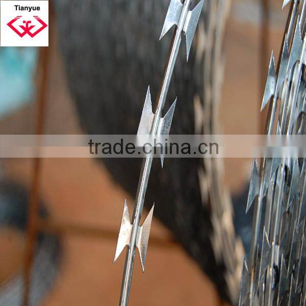 Galvanized Razor Wire/personal factory