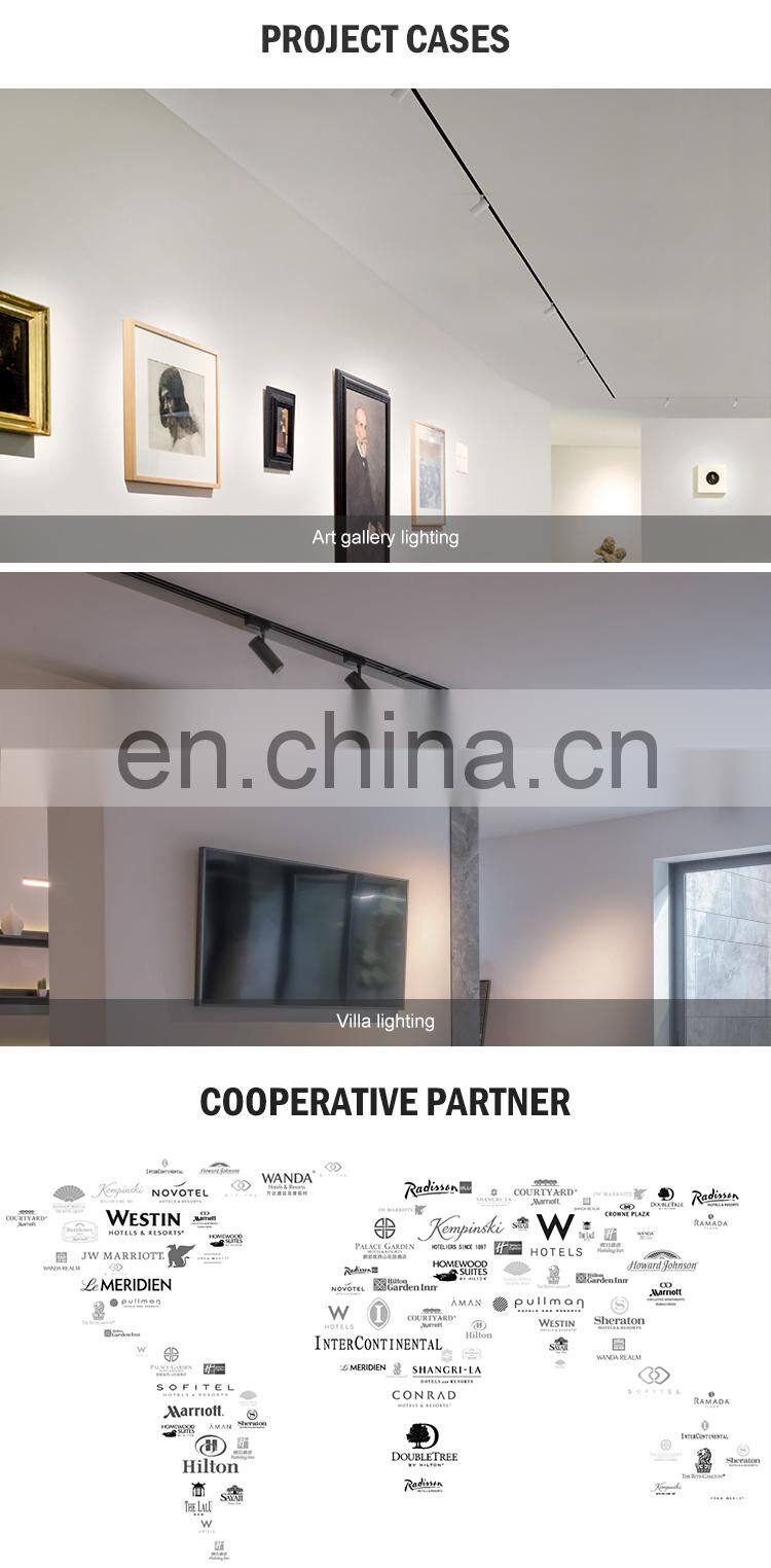 High Quality Aluminum Magnetic Rail Installation Modern Living Room 4 Watt COB Led Track Light