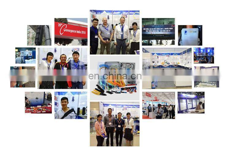 Rose Red Color Multimode Duplex Dual OM1 OM2 LC to LC 3m MM Optical patch cord