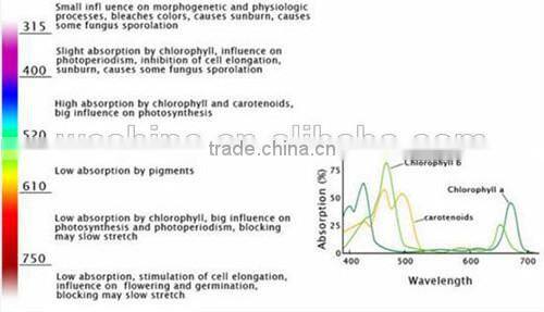 E27 LED Plant Grow Light Lamp Bulb for Flowering Hydroponics System