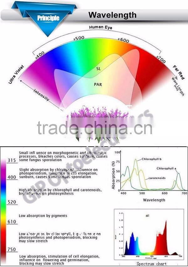 2016 new 12W E27 Par38 Red Blue LED Grow Light Bulb LED Plant Grow Light, E27 12w indoor garden hydroponic plant grow led light