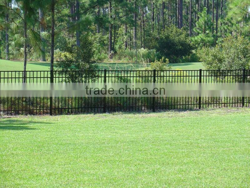 China Anping Black Backyard Metal Steel Iron Fence Designs for Philipines