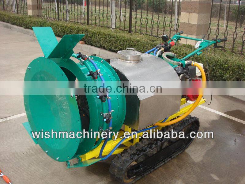 3WF-300L 13HP push bigger farm MACHINERY sprayer