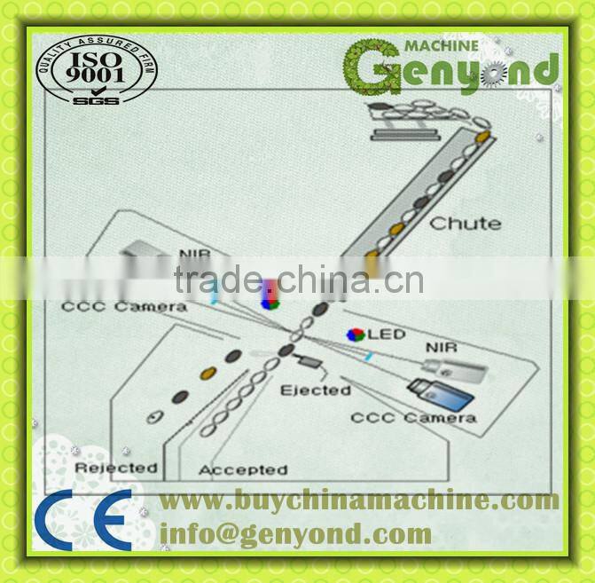 Red dates color sorter machine