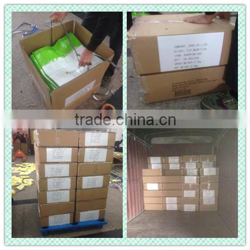 Wholesale Reusable pp shopping bag/hand carry bag