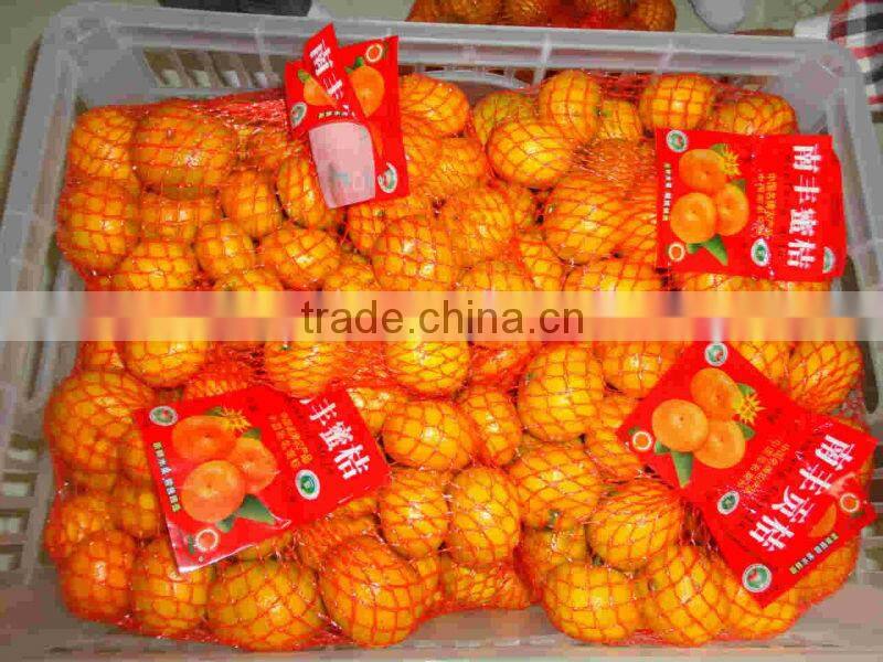 citrus fruit baby mandarin orange