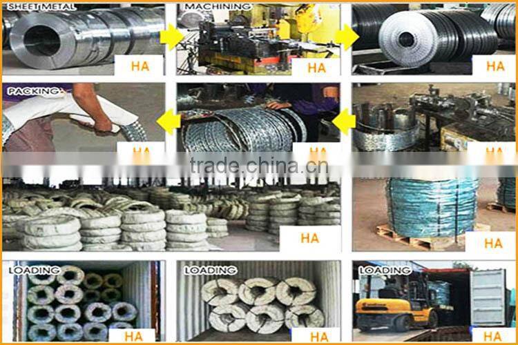 Sharp razor barbed wire fencing for Italy