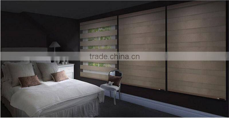 New style double layer fabrics zebra blinds